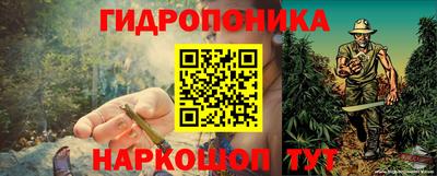 гидропоника Владимир