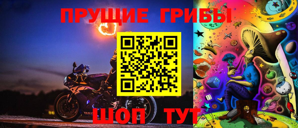 Псилоцибиновые грибы прущие грибы Белебей